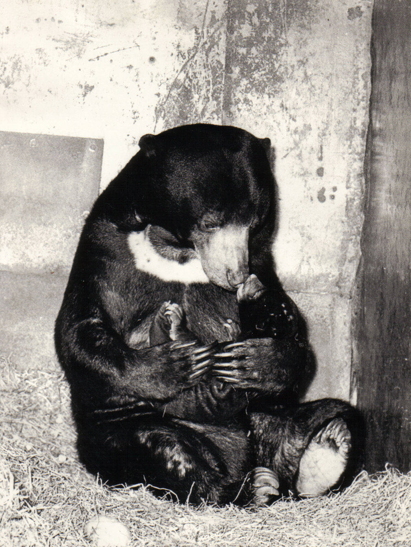 Tschita mit Idi, Tina's Mutter im Jahr 1967